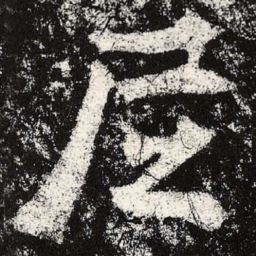 魏碑尼书法图片
