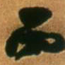 王铎丙书法图片