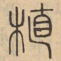 植书法图片