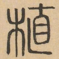 植书法图片