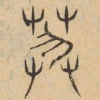 菲书法图片