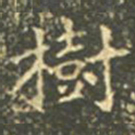王羲之树书法图片