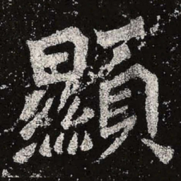 魏碑显书法图片