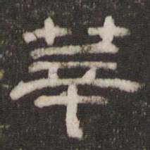 莘书法图片