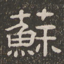 苏书法图片