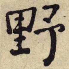 何绍基野书法图片