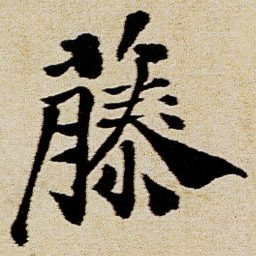 徐渭藤书法图片