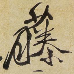 徐渭藤书法图片