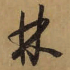 怀素林书法图片