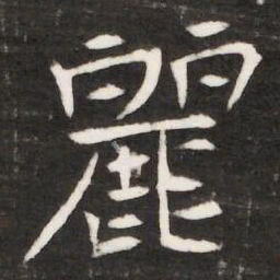 麗书法图片