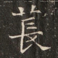 萇书法图片