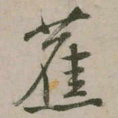 张弼蕉书法图片
