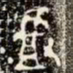 金文揸书法图片