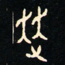 金文走书法图片