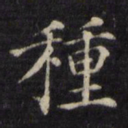 姜立纲种书法图片