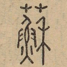 苏书法图片