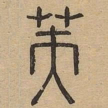 芙书法图片