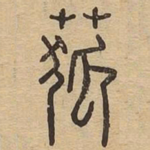 菰书法图片