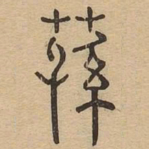 荪书法图片