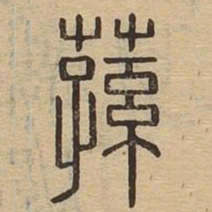 荪书法图片