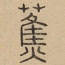 蕉书法图片