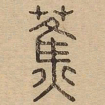 蕉书法图片