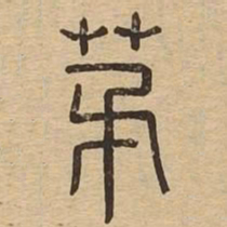 茅书法图片