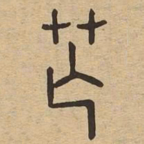 芒书法图片