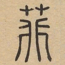 菲书法图片