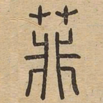 菲书法图片