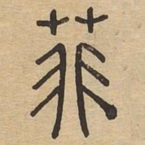 菲书法图片