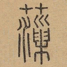 藻书法图片
