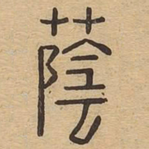 荫书法图片