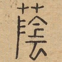 荫书法图片