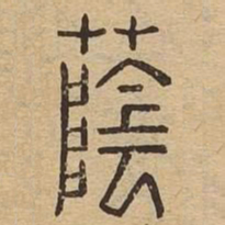 荫书法图片