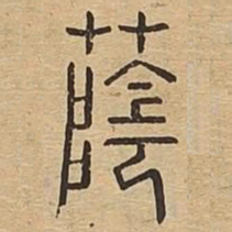 荫书法图片