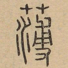 薄书法图片