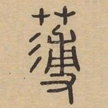 薄书法图片