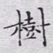 文征明树书法图片