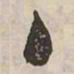 佟伟夫主书法图片