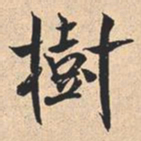 米芾樹书法图片