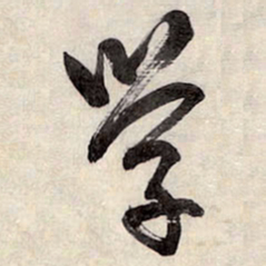 王铎学书法图片