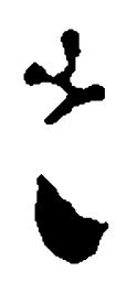 蔡襄想书法图片