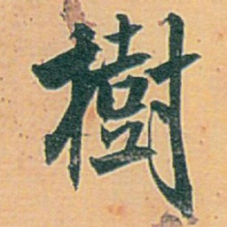 白蕉樹书法图片