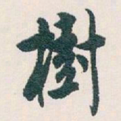 白蕉樹书法图片