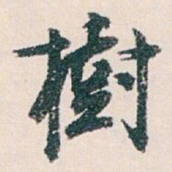 白蕉樹书法图片
