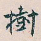 白蕉樹书法图片