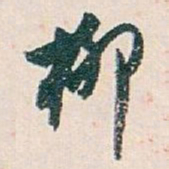 白蕉柳书法图片