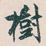 白蕉樹书法图片