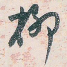 白蕉柳书法图片